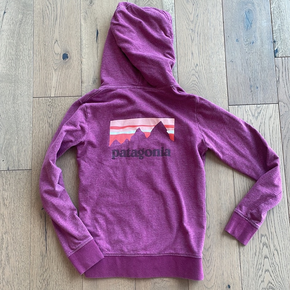 Patagonia Zip Up Hooded Jacket
